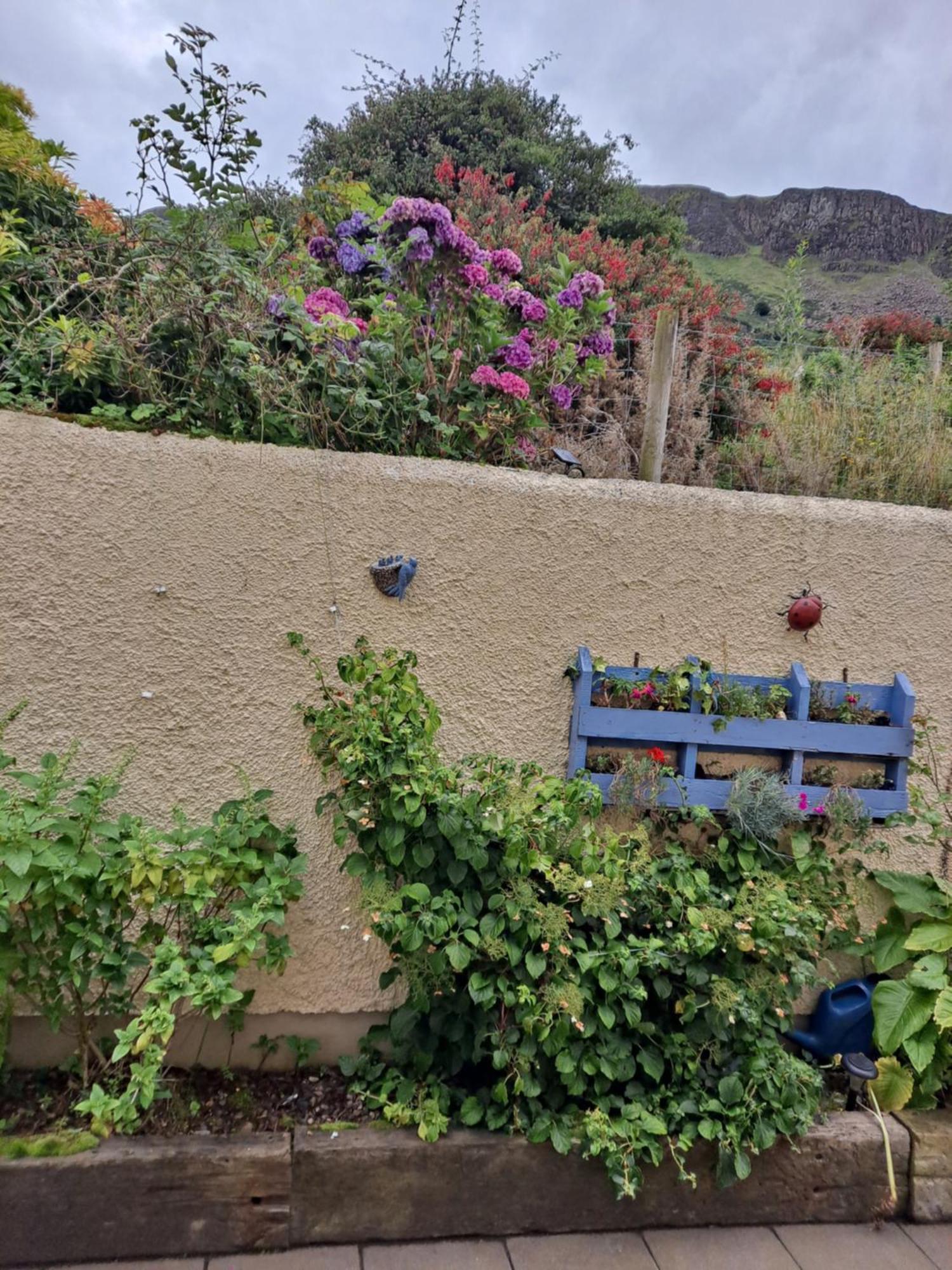 Lurig View B&B Glenariffe Exterior photo