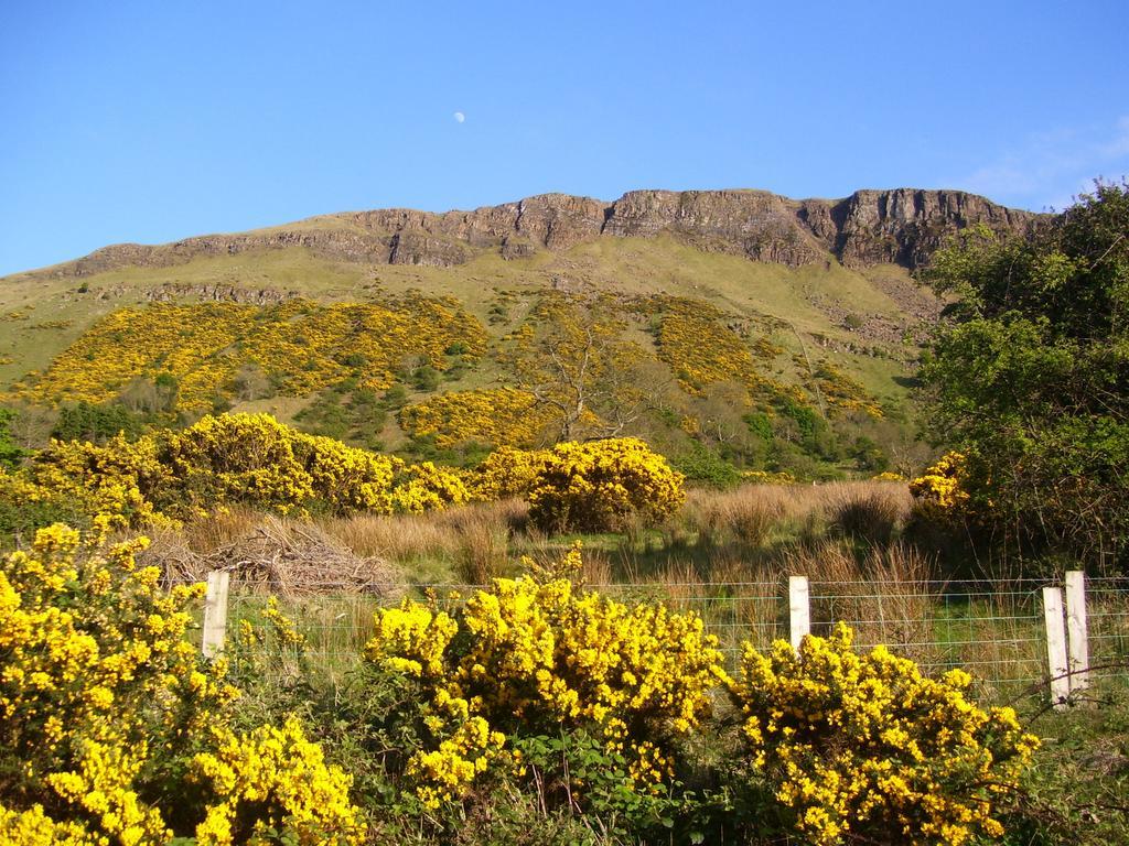 Lurig View B&B Glenariffe Exterior photo